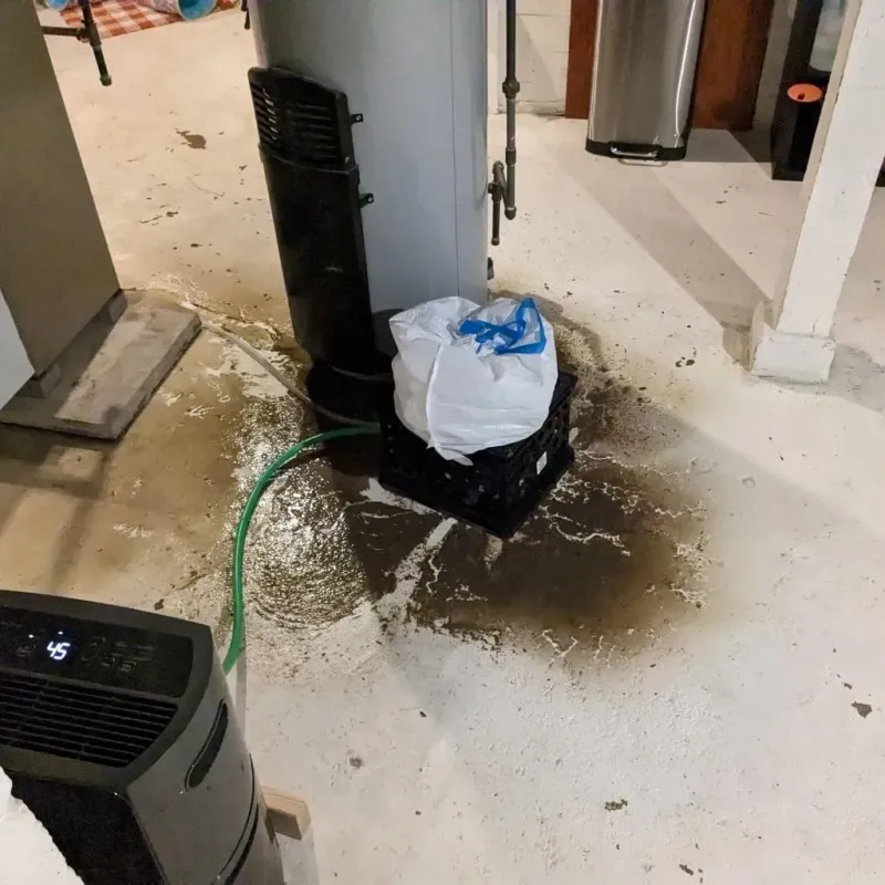 Sewage Backup Cleanup Service in East Windsor, CT